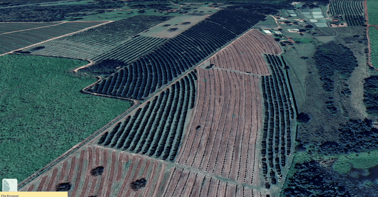Talhão destacado (Imagem)